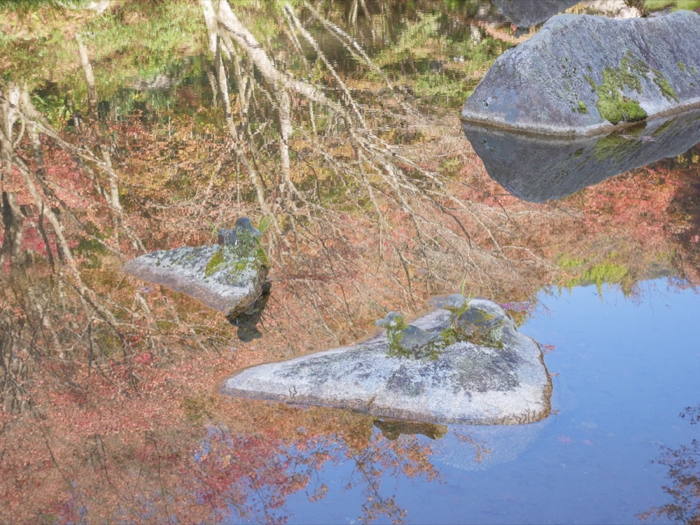 LUMIX GF10で撮影♪池の水に反射した風景