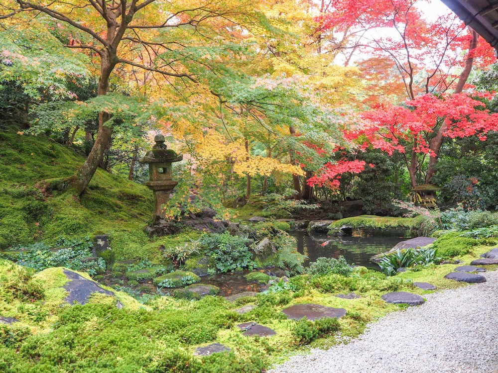 OLYMPUS PEN E-PL9 ☆京都の庭園を撮影