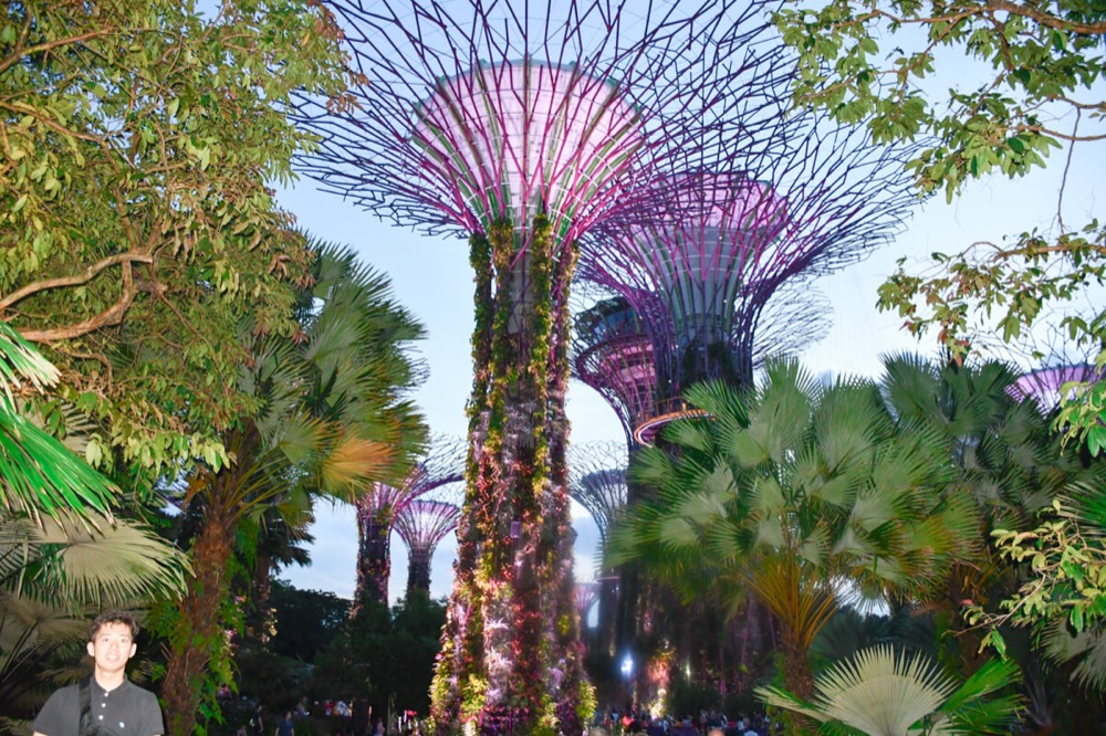 Nikon D5600 18-55 VR レンズキットで撮影・シンガポールの「ガーデンズ・バイ・ザ・ベイ」