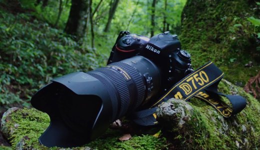 使い勝手が最高なフルサイズ一眼レフ Nikon D750レビュー&作例