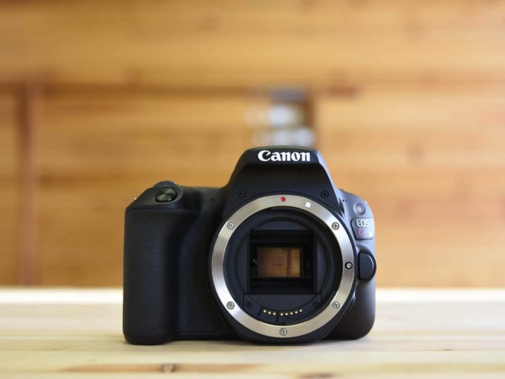 カメラ デジタルカメラ Nikonユーザーもびっくり！売切れ御免！Canon EOS Kiss X9 | Picky's