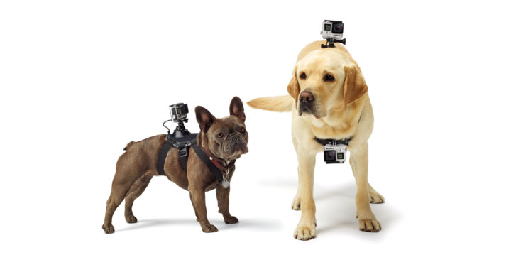 GoPro ドッグハーネスの全体画像
