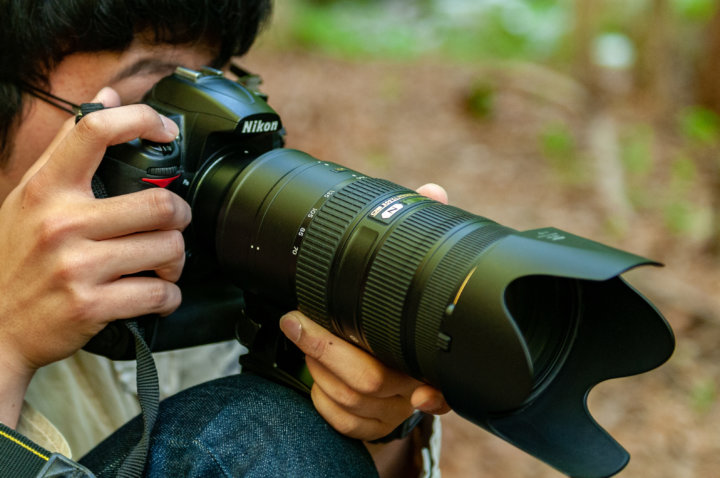 Nikonが誇る大三元「AF-S NIKKOR 70-200mm f/2.8G ED VRⅡ」に感服！写真はレンズで決まる！ Picky's
