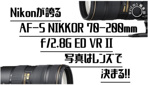 Nikonが誇る大三元「AF-S NIKKOR 70-200mm f/2.8G ED VRⅡ」に感服！写真はレンズで決まる！