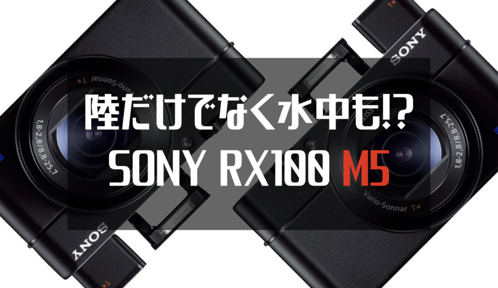 【実写レビュー】SONY DSC-RX100 M5 で動画や写真を使いこなした感想。