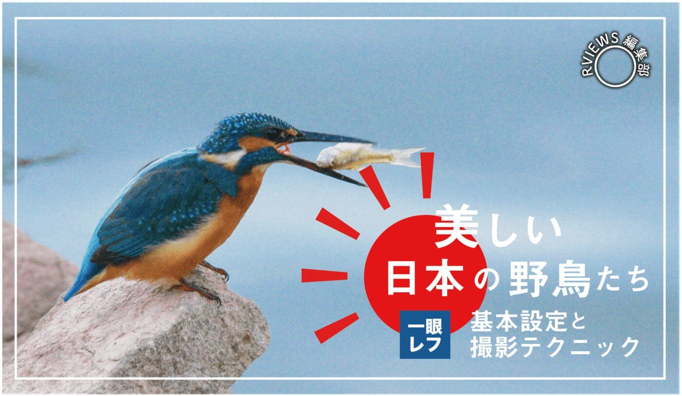 美しい日本の野鳥たち 一眼レフで野鳥を撮影するテクニックをご紹介 Rentryノート