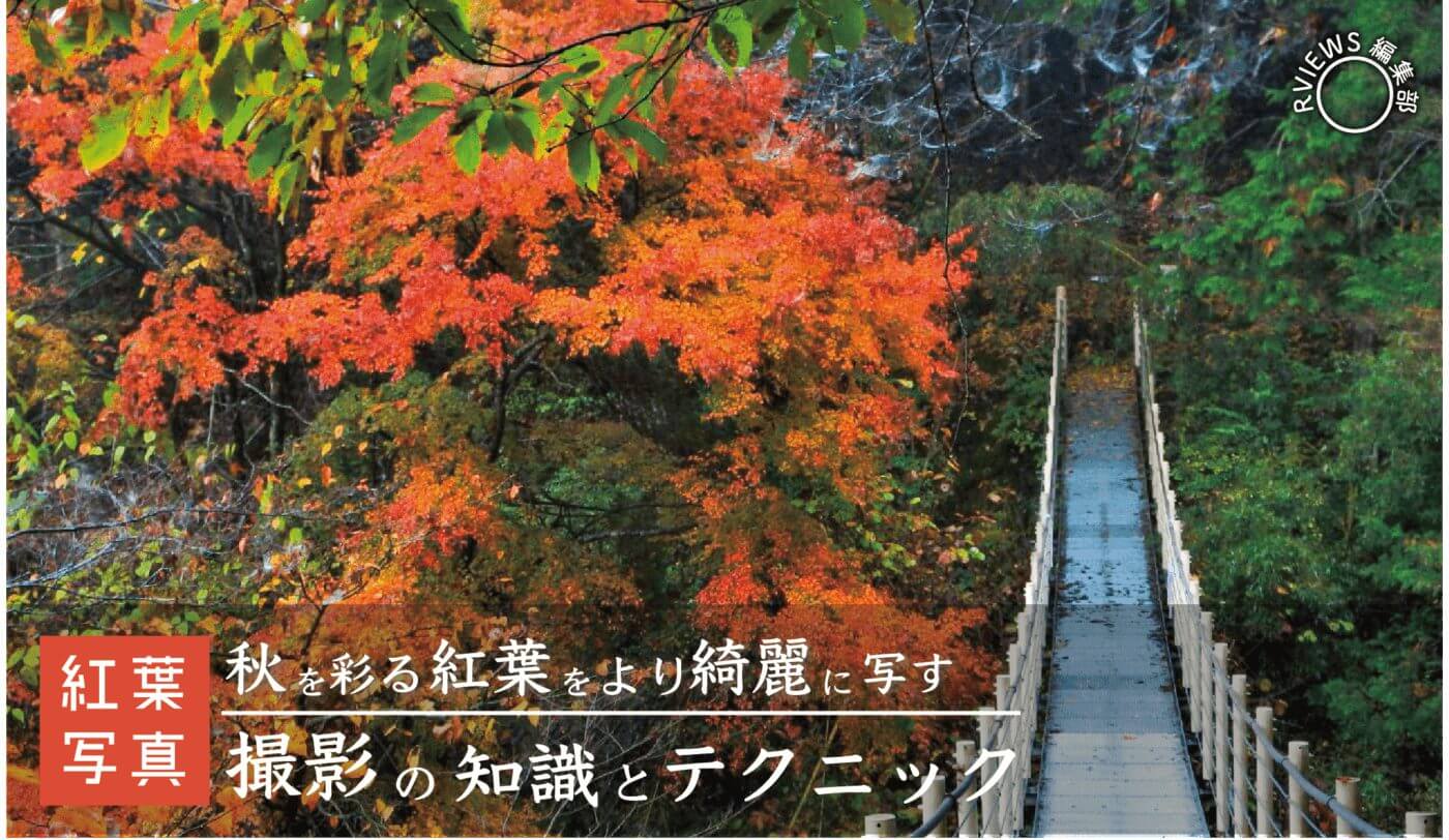 秋を彩る紅葉をより綺麗に写す 紅葉写真撮影のための知識とテクニック Rentryノート