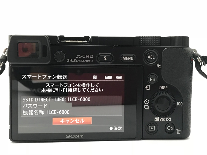 SONY α6000はコンパクトだけど本格派ミラーレスカメラ！実際に使って 
