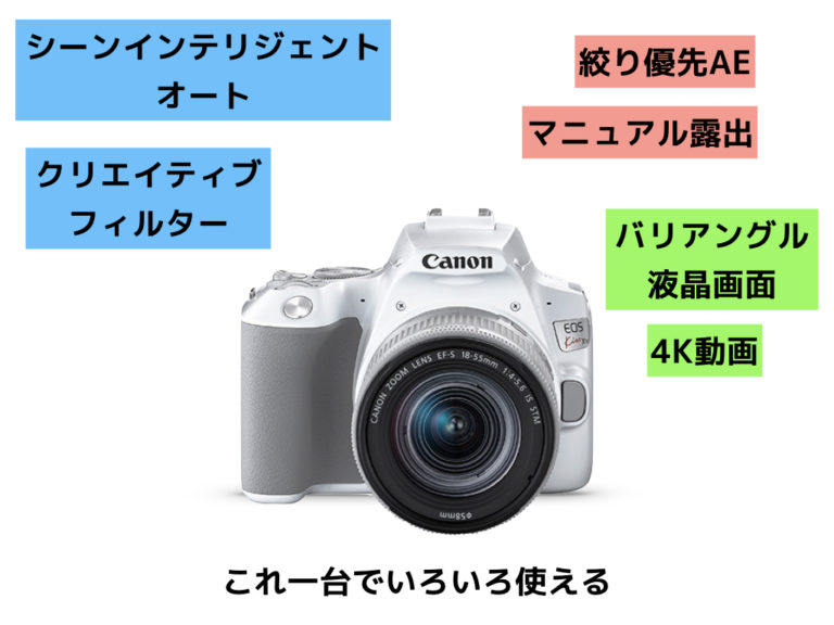 人気の高性能機種 Canon EOS Kiss X10をレビュー！X10のいいとこ7つ&最新ミラーレスとの比較 | Picky's