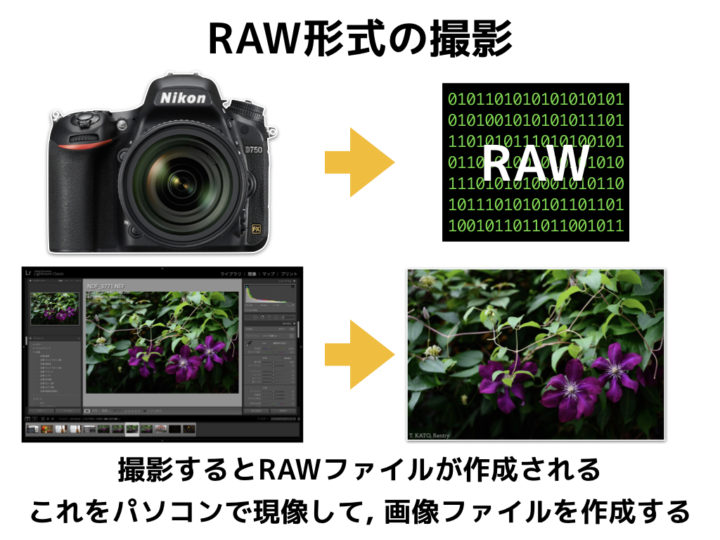 Rawとは何 から徹底解説 Raw撮影の世界一わかりやすい方法 Rentryノート
