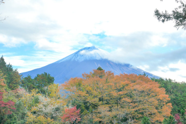 panasonic 富士山