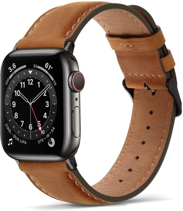 Apple Watch ビジネス