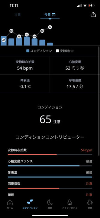 Oura Ring 3 点数