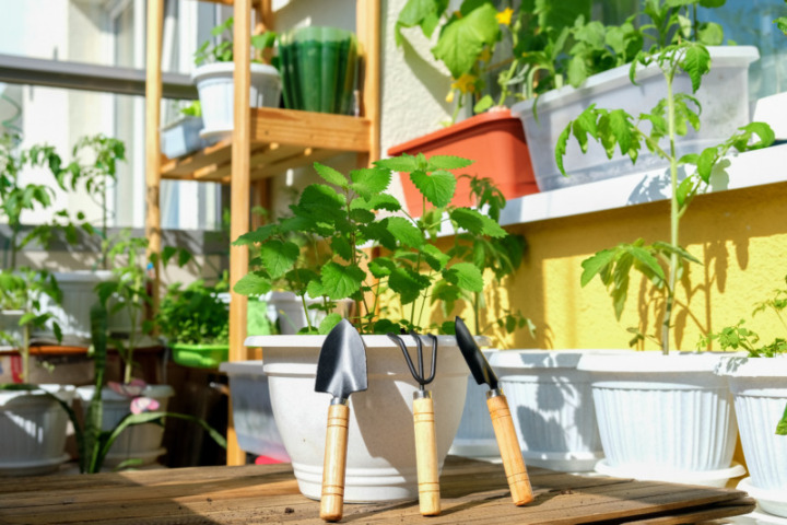 家庭菜園用 プランター 関連アイテム