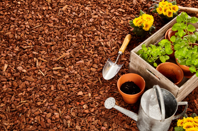 庭の虫や雑草対策に！バークチップおすすめ6選｜デメリットや敷き方も解説