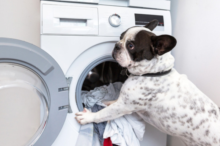 洗濯槽クリーナーのよくある質問