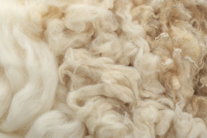 【羊毛】吸放湿性に優れ、価格もお手頃でコスパよし