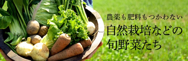 野菜の安全性が気になるなら、オーガニック・無農薬など有機栽培かを確認