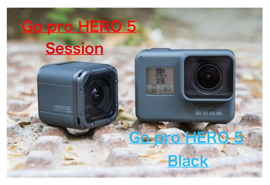 gopro ウェアラブルカメラ HERO5 Session 付属品 アクセサリー - ビデオカメラ