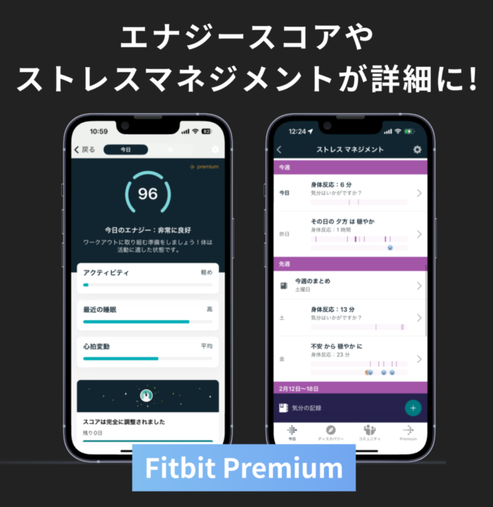 Fitbit Premiumを使えばより詳細な分析も