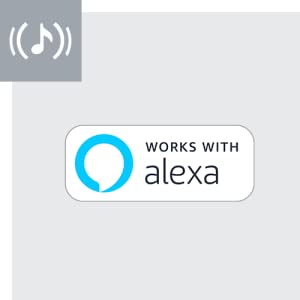 AmazonのAIアシスタント、Alexaで音声コントロール