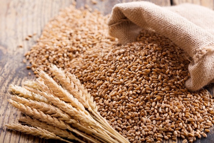 原材料を選ぶ：二条大麦・六条大麦・はだか麦と使用する大麦で風味が異なる