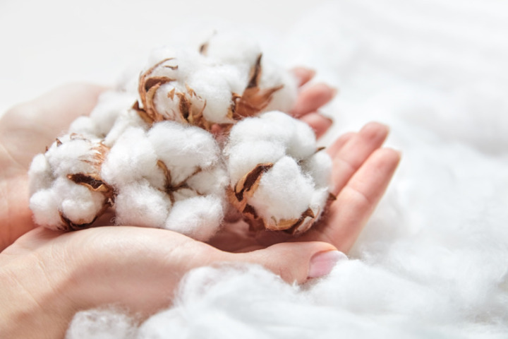 吸湿性に優れた「木綿・真綿」は、肌寒い季節も温か