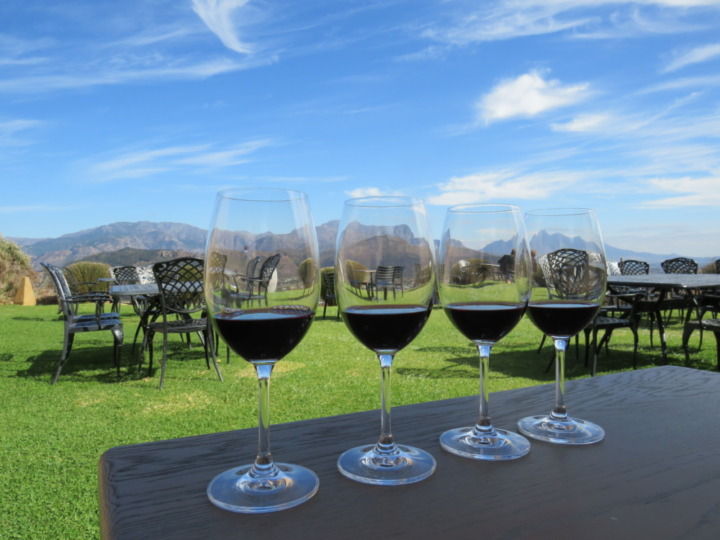 南アフリカワインの特徴と歴史