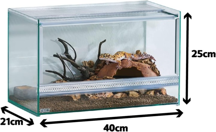 平面活動や日光浴をする爬虫類には高さ30cm程度の「ロータイプ」