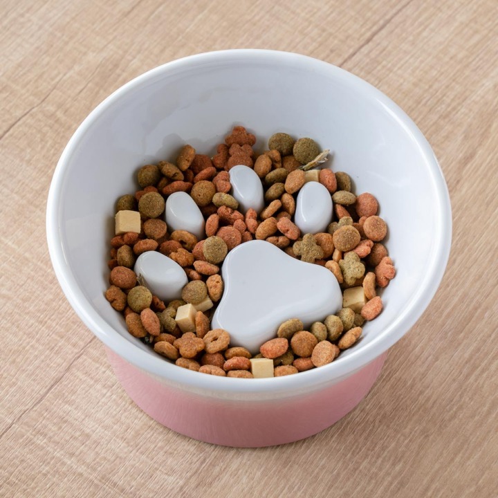 凹凸のある猫用食器なら早食い防止に役立つ