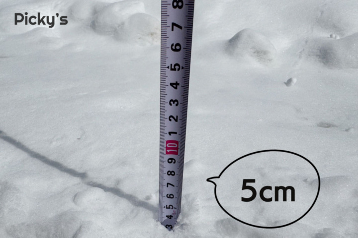 この日の雪質は、積雪量5～15cmでシャリシャリ状態
