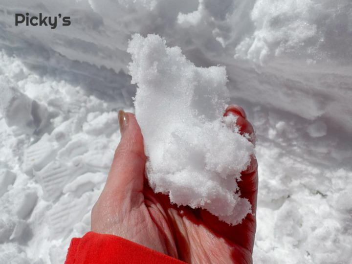 検証時の雪質はコンディションの悪い「重くて凍った固い雪」