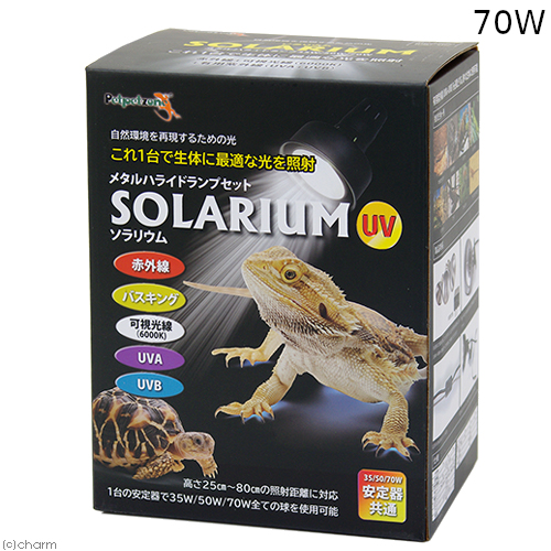 【健康維持に】爬虫類用紫外線ライトおすすめ人気15選！100均に代用品はある？